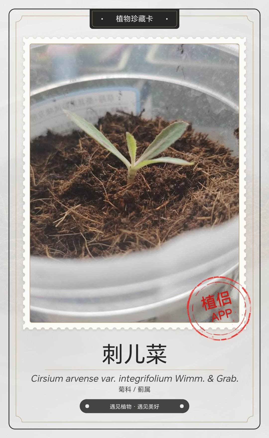 头回听说(๑•̀ω•́๑)全赚到了，
好像是药材(҂ ꒦ິヮ꒦ິ)