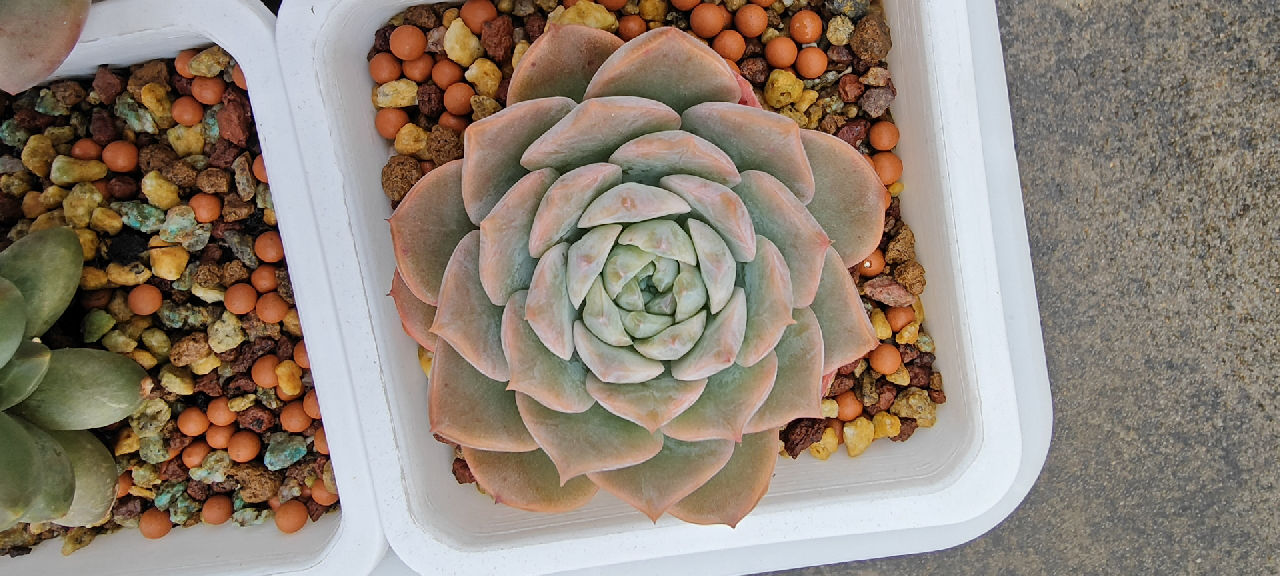 粉水晶