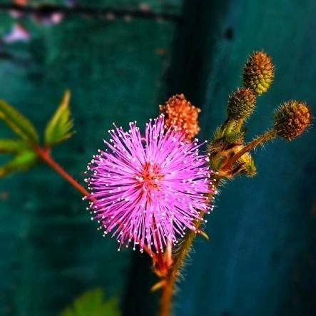 一
